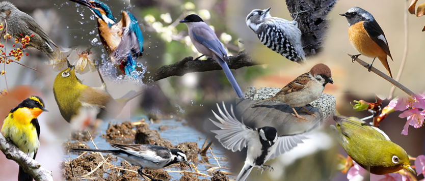 メインイメージ画像